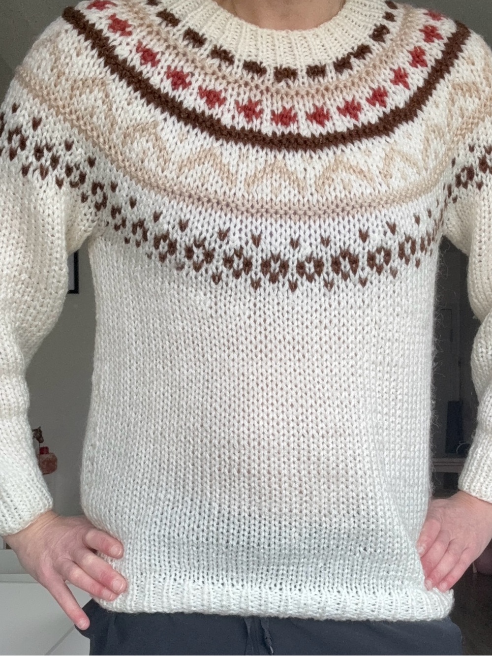 VTG Sweater Bee by Banff Chunky Hand Knit Nordic Fair Isle Yoke Sweater Smal